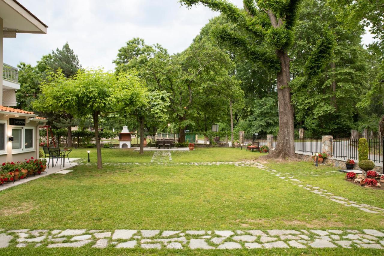 Evaggelia Rental Apartments 斯科提纳 外观 照片